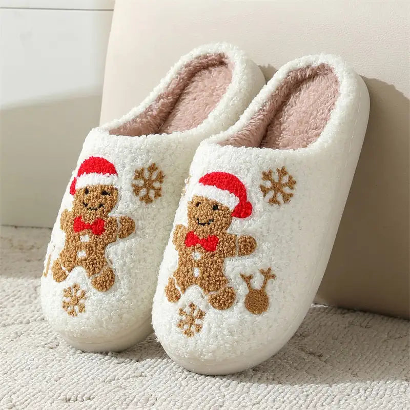 Winter Stylish Slipper | News
